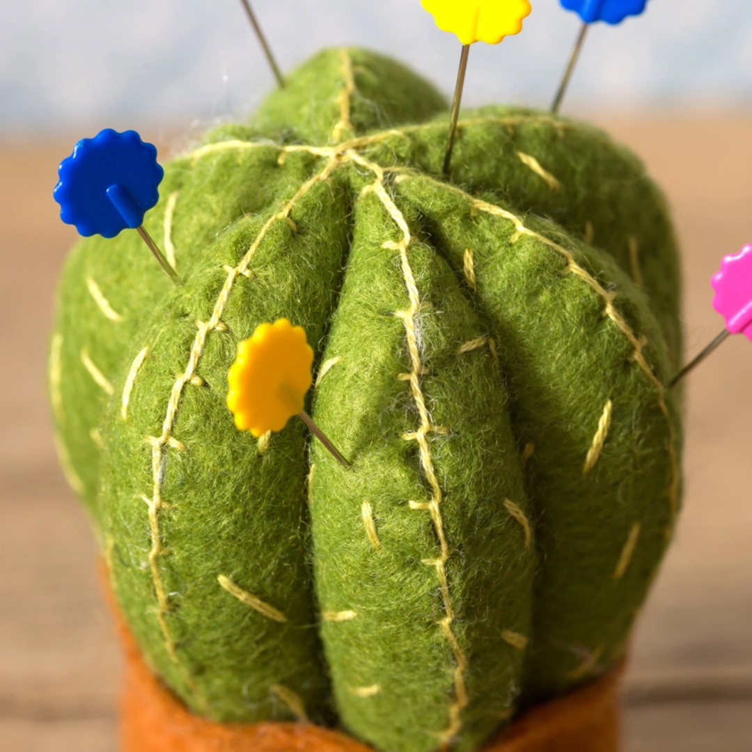 Close-up of the completed felt cactus pincushion showing embroidered details, textured felt and colourful pins.