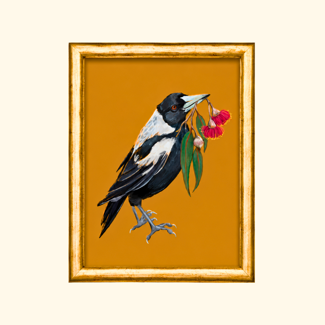 Magic Magpie greeting card displayed in a gold frame, showcasing the Australian magpie illustration carrying vibrant gum blossoms.