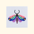 Colourful moth cross stitch design stitched on white Aida fabric.