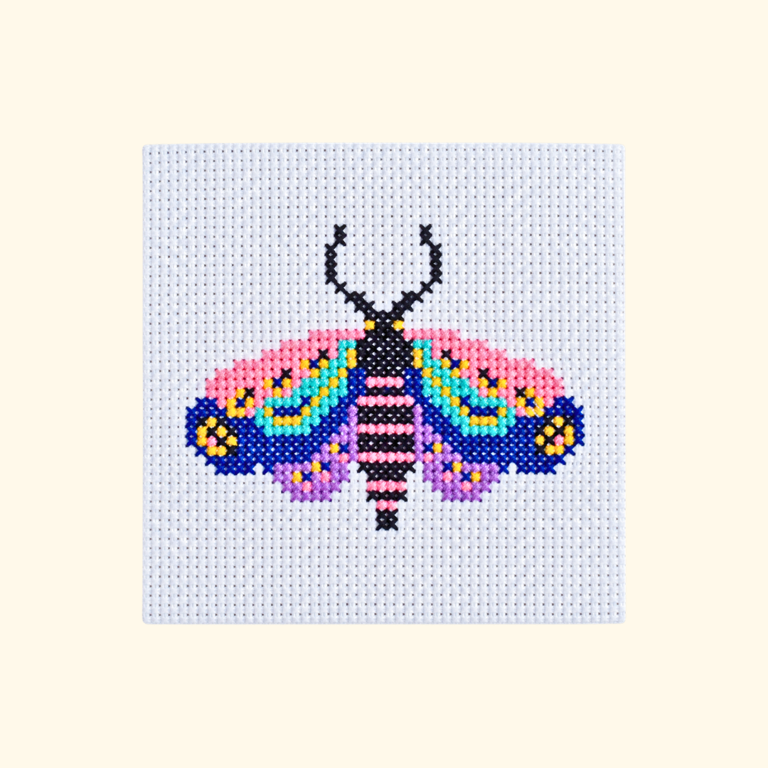 Colourful moth cross stitch design stitched on white Aida fabric.