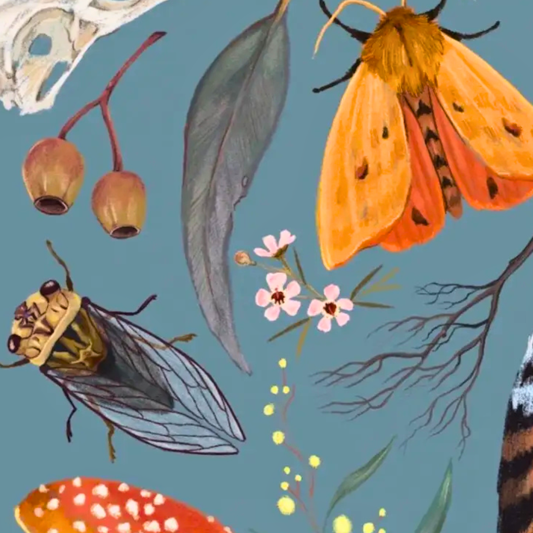 Close-up detail of the Nature A4 art print by Anna Seed Art showing colourful moths, butterflies, flowers and botanical elements on a blue background.