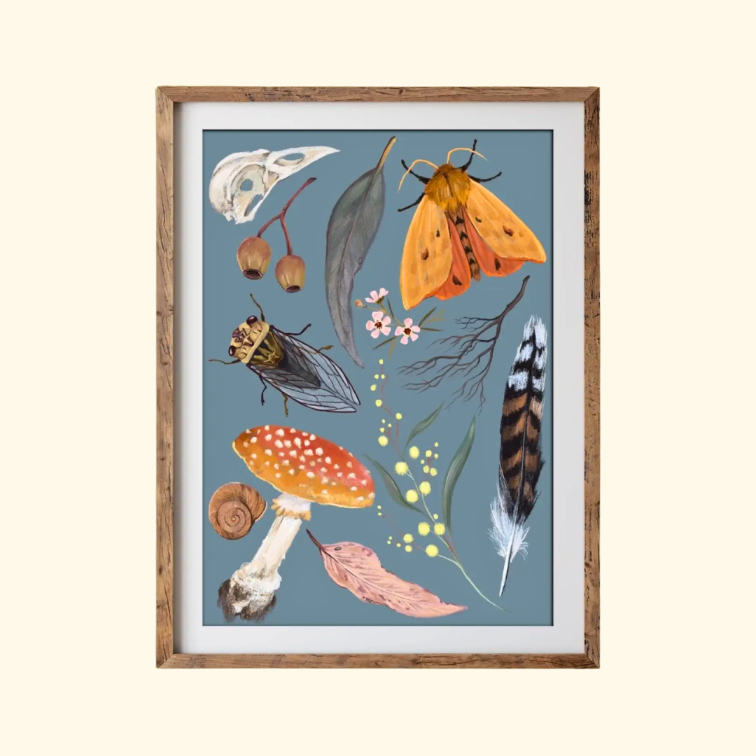 Nature A4 art print by Anna Seed Art displayed in a timber frame, featuring moths, butterflies, mushrooms and delicate botanical details.