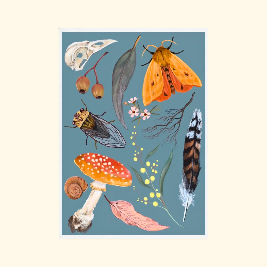 Nature A4 art print by Anna Seed Art featuring colourful moths, butterflies, mushrooms, flowers and botanical details on a blue background.
