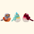 Set of 3 colourful baby birds needle felting kit by Bergin & Bath