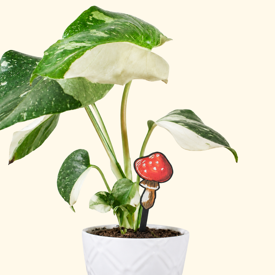 Finished red spotted mushroom plant stake displayed in a potted indoor plant.