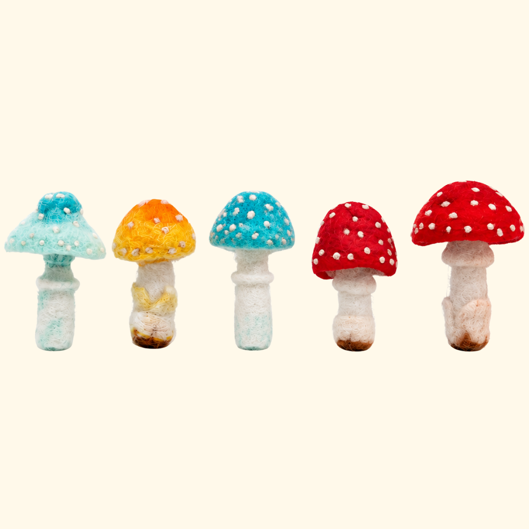 Set of 5 colourful toadstools needle felting kit by Bergin & Bath