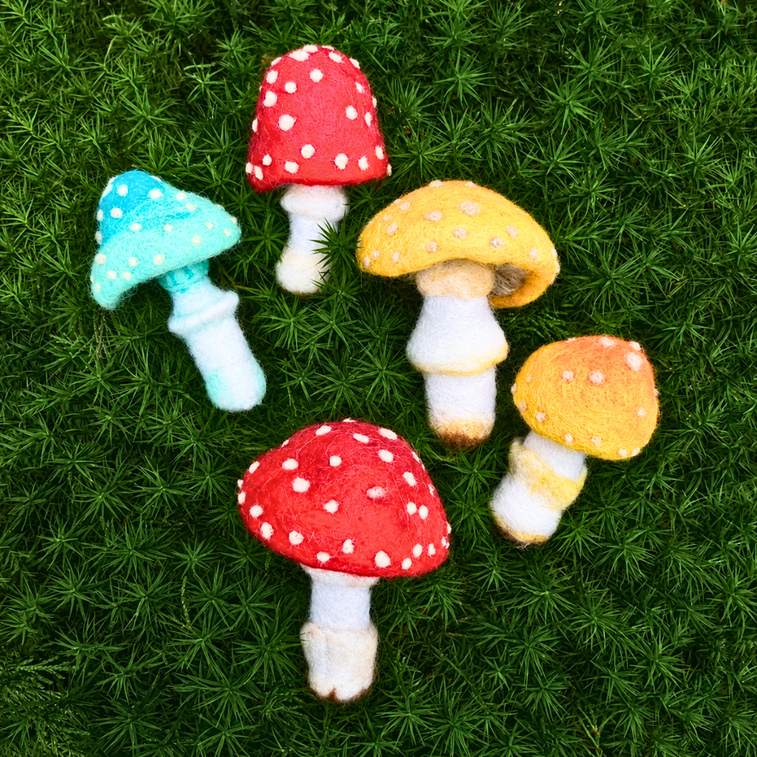 Five finished needle felted toadstools in red, blue and yellow displayed outdoors