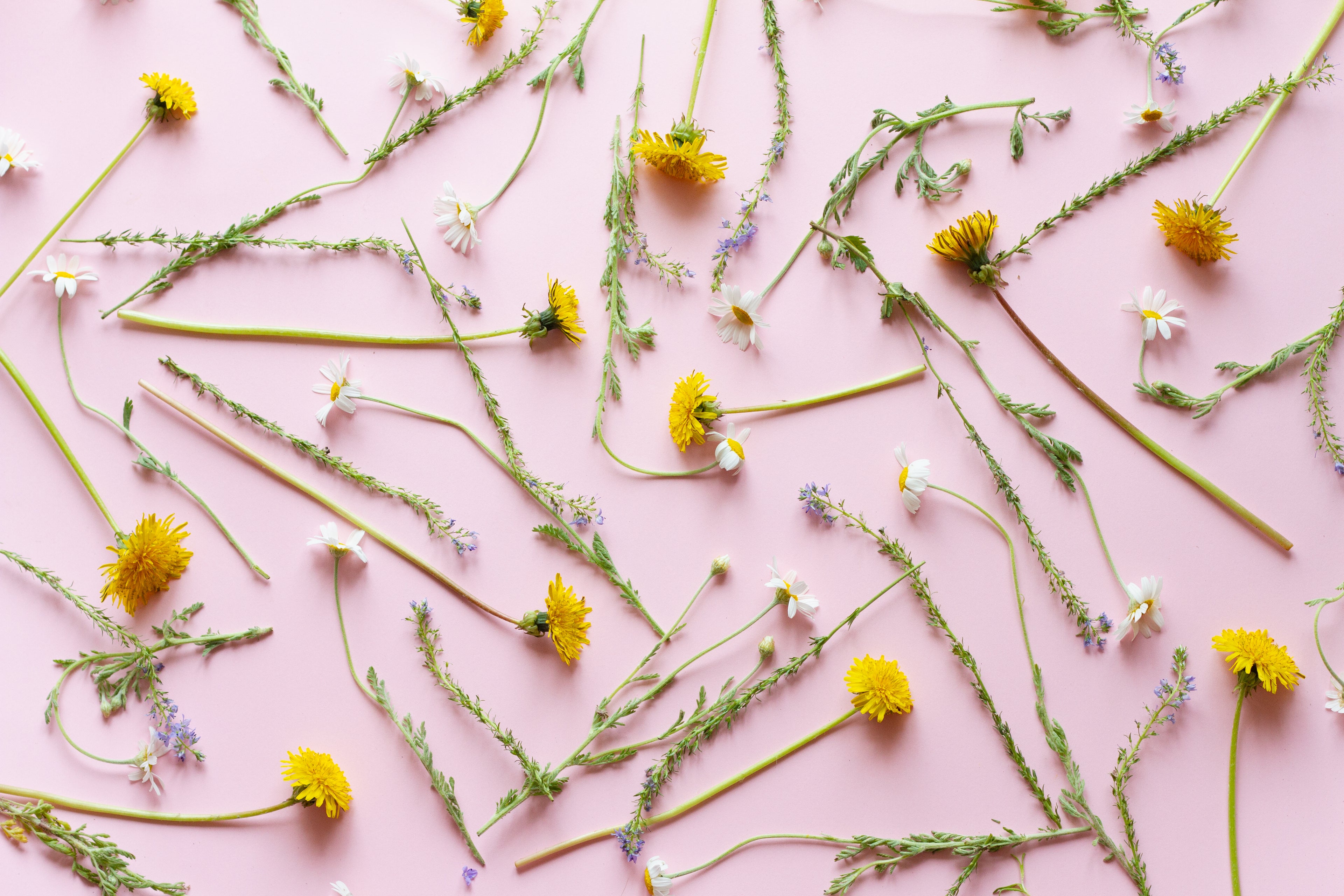Slow DIY Craft Kits Australia - Foxglove Society