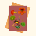 Sun Shower greeting card shown with a matching kraft envelope, featuring an illustrated bee collecting nectar beneath vibrant nasturtium flowers.