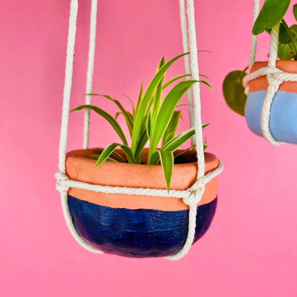 Completed terracotta hanging planter with painted blue details holding a small indoor plant.