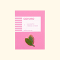 Tropical Leaves Magnetic Needle Minder by SOHMO featuring green and pink enamel leaves on bright pink packaging